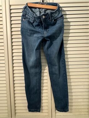 Just USA Skinny Jeans in Medium Blue Wash